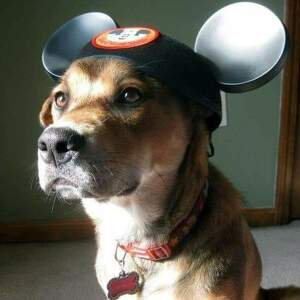 Fundraising Page: Adriane Southard